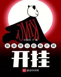 勤奋努力的我不算开挂txt精校