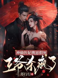 神偷王妃十一年