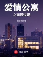 爱情公寓之南风过境起点中文网