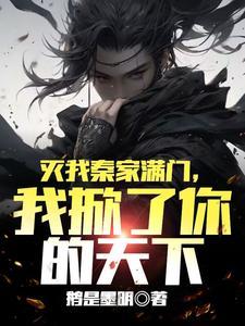 我掀了你的天下求书名