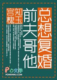 前夫哥他总想复婚txt