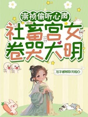 大明崇祯第一权臣女主角