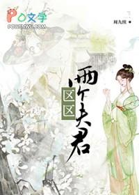 二个夫君一起上全文阅