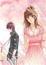 非你莫属杨奇函应聘视频