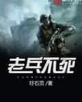 老兵不死 只是逐渐凋零黄忠