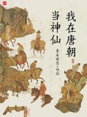 我在唐朝当神仙精校版