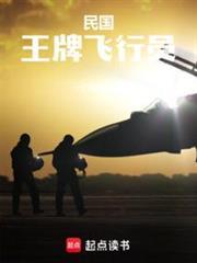民国王牌飞行员 第739章