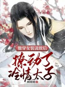 撩动了冷情太子作者顾婼婼