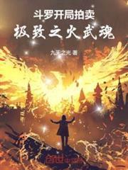斗罗开局拍卖极致之火武魂-在线全文