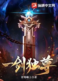 一剑独尊全部境界