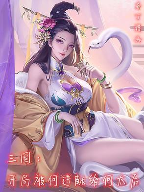 三国开局抢上何皇后