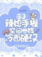 重生七零媳妇辣