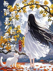 隔着月光再与你对望