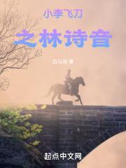 小李飞刀林诗音儿子