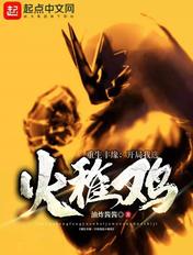 重生丰缘开局选火焰鸡