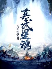 武魂真身升星要多少碎片